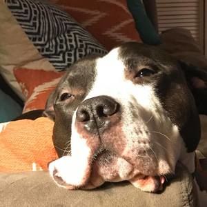 Meet your Posher, Kasha